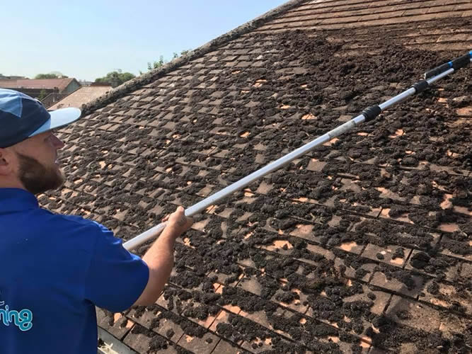 roof cleaning gallery