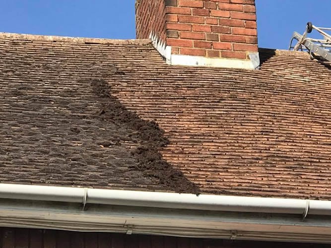 roof cleaning gallery