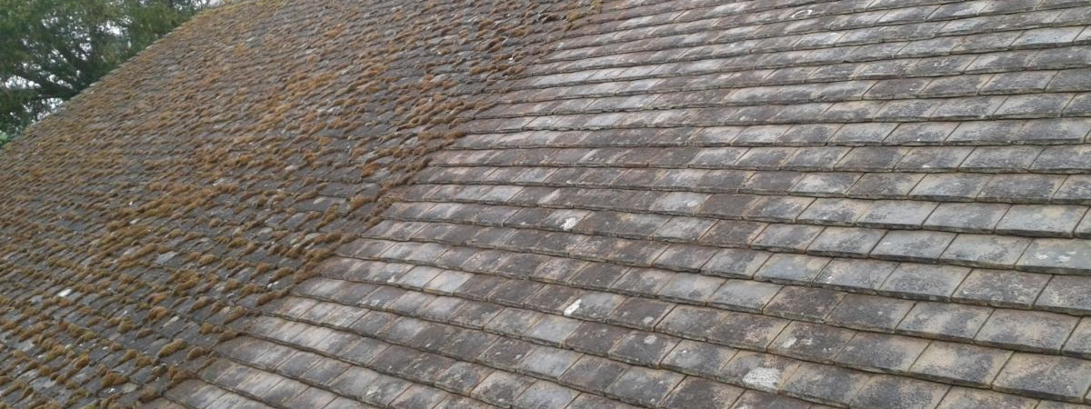 roof cleaning east anglia moss removal